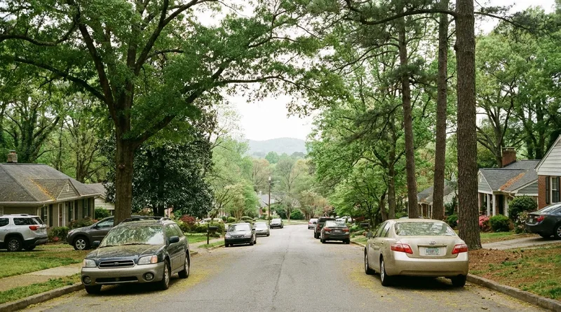 Yellow pollen coating a car beneath a dense tree canopy in metro Atlanta during spring